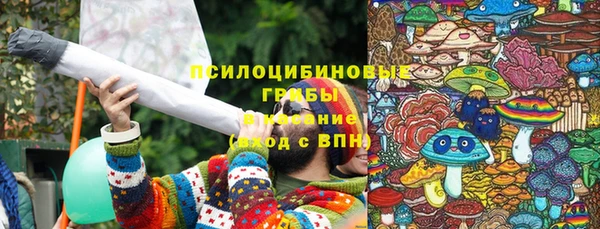 скорость Елизово