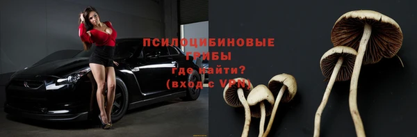 соль курить ск Ельня