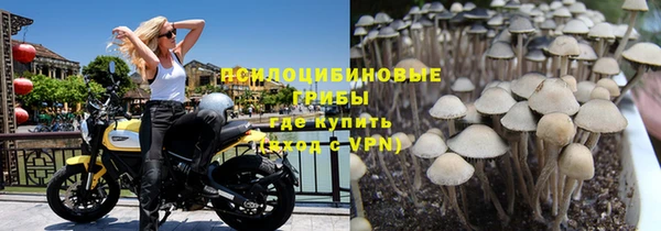 соль курить ск Ельня