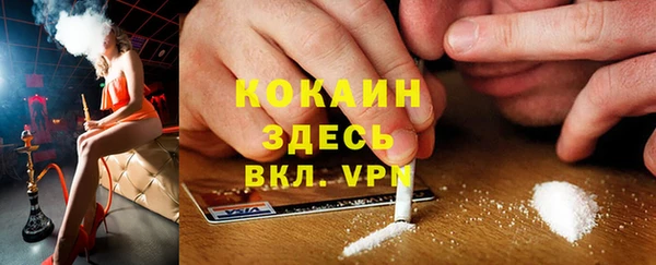 соль курить ск Ельня