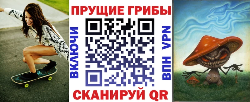 Купить где  Заволжск  Псилоцибиновые грибы Psilocybe 